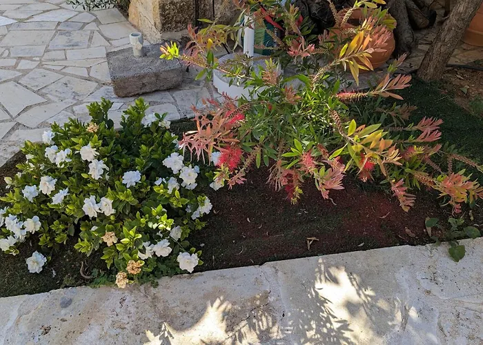 Magnificent, Authentic Private And The Villa Kardamyli