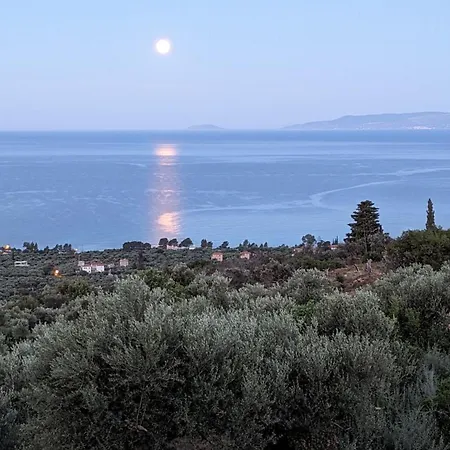 Villa Magnificent, Authentic Private And The