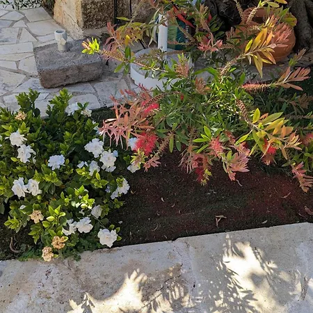 Magnificent, Authentic Private And The Villa Kardhamili