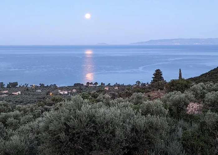 Villa Magnificent, Authentic Private And The